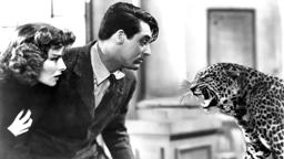 Bringing Up Baby (1938) - WHRO Cinema 15 Behind-the-Screen