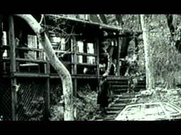 Chameleon - Trailer