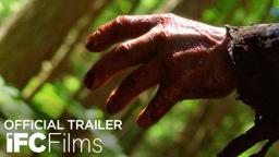 "Buckle Up" Trailer