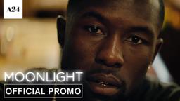 Shine Promo
