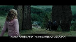 Hermione Punches Malfoy