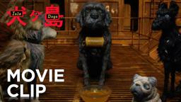 "Dog Zero"