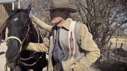 Macho & Mustangs Featurette