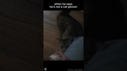 Cat Daddy