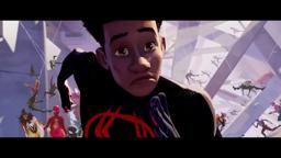 Spider Zoo