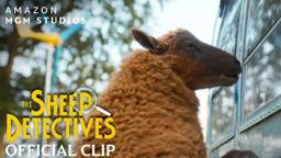 “I See Everything” Official Clip