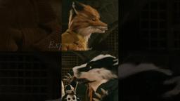 Foxes, assemble.