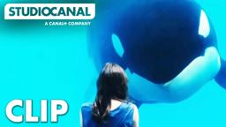 Rust & Bone | Meeting A Whale | Starring Marion Cotillard