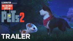 The Rooster Trailer