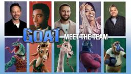 Meet the Team