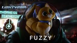 Fuzzy