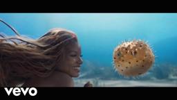Under the Sea