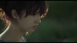 IFFR 2013 Trailer