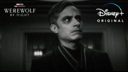 Now Streaming