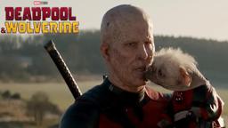 Watch Deadpool & Wolverine again and again and again and again and again and again and again and again