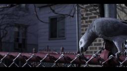 Brink Teaser