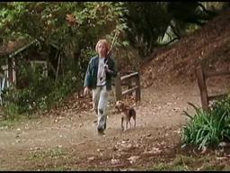 Shiloh (1996) Movie Trailer (Beagle dog)