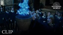 Triwizard Tournament Nominations
