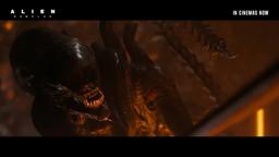 Theater Screams