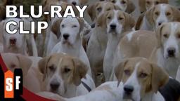 Puppy Overload