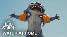 Watch again, and again, and again!