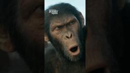 The Chant