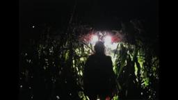 FAWN trailer