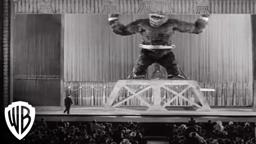 Cameras Rolling On Kong