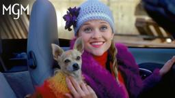 Favorite Elle Woods Quotes