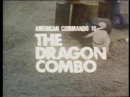 THE DRAGON COMBO