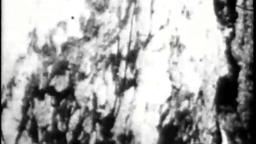 BEGOTTEN theatrical trailer