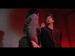 A clip from Dracula`s widow 1988