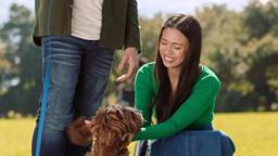 Mr. Pawsitively Perfect Trailer