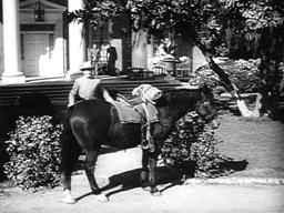 Southern Yankee, A