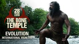 Evolution - International Vignette