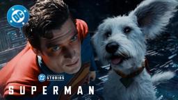 Krypto... get the toy