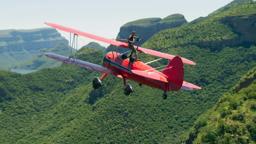 Wing Walking