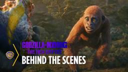 Suko: The Rise of Mini-Kong