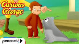 CURIOUS GEORGE CAPE AHOY | Sneak Peek