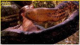 Mighty Anaconda Kills The Skipper