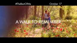 The Best of Me - "Young" TV Spot