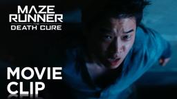 In the Maze