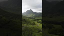 Kogonada's Lens