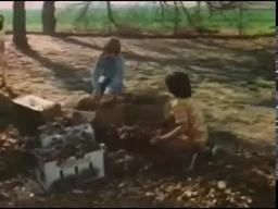 Soup and Me (1978)