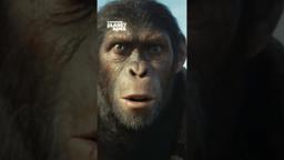 Clip