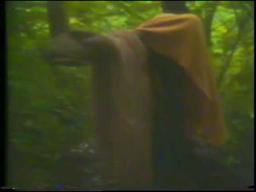 Mystic Test