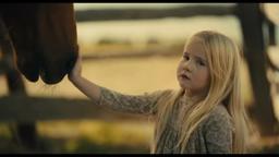 The Horse