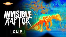 Clip