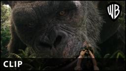 Kong and Jia Clip
