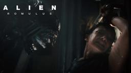 Streaming November 21 Only On Hulu
